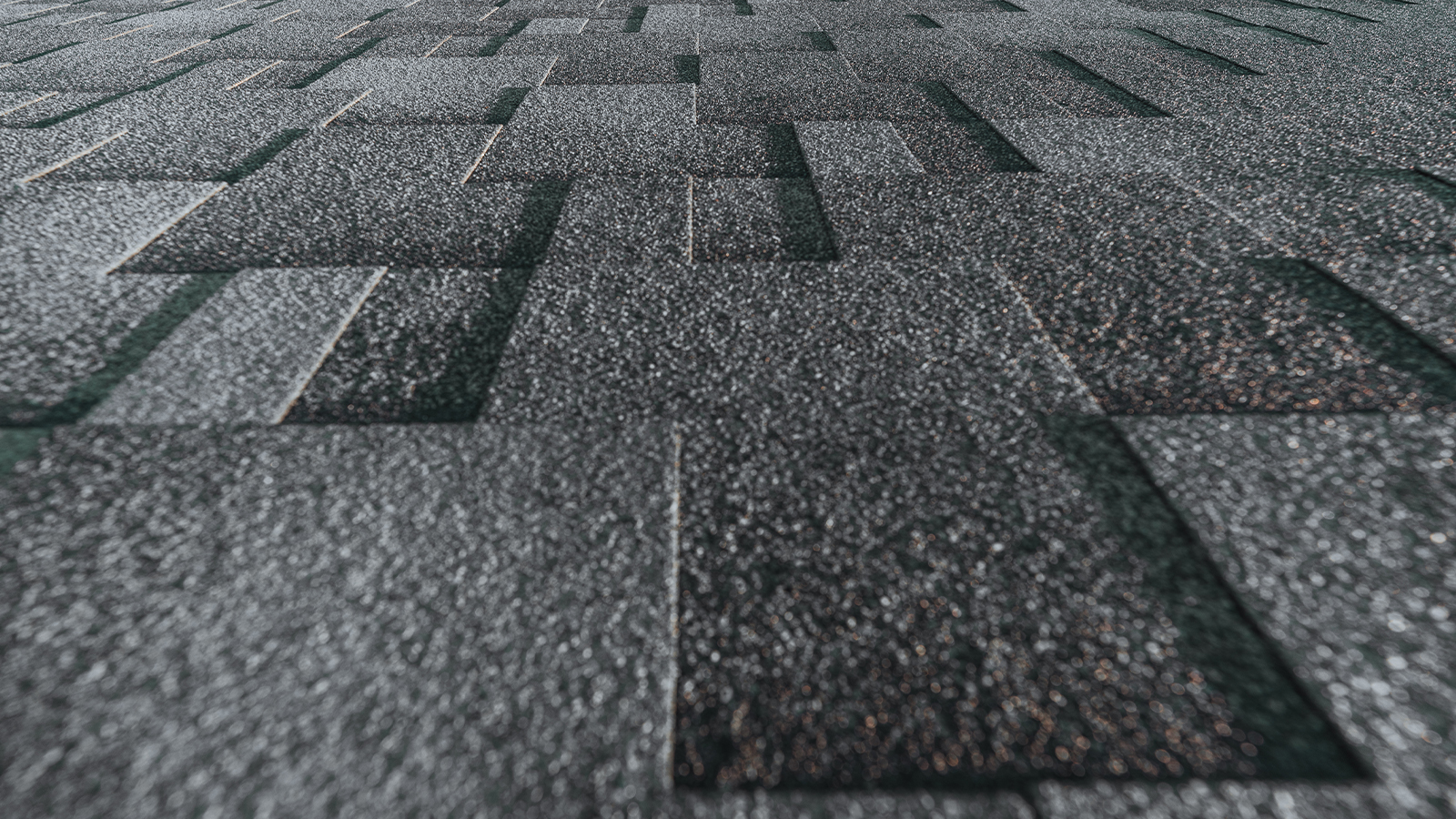 Asphalt Shingle Roof