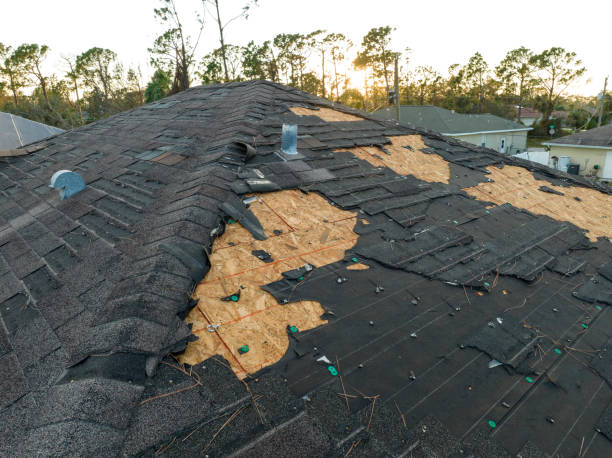 naileditroofingpros